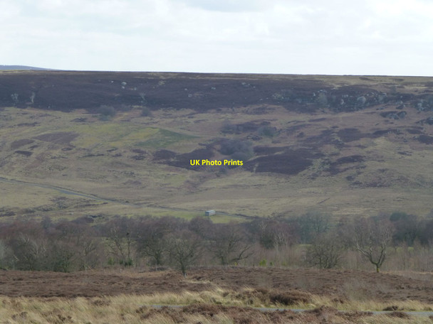 Photo 6"x4" Looking across the Yardhope Burn valley Holystone c2016