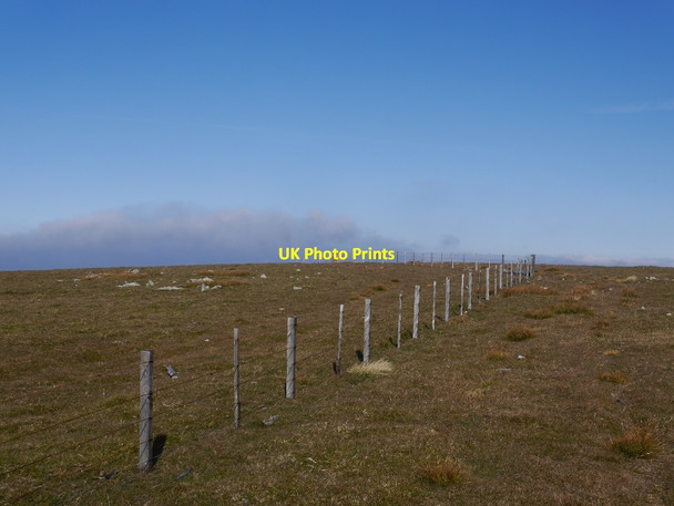 Photo 6"x4" Summit plateau, Pykestone Hill Langhaugh\/NT2031 c2015