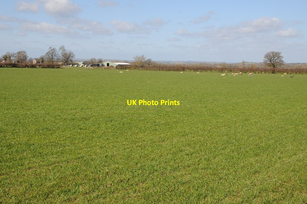 Photo 6"x4" Farmland to the north of Aston Subedge Aston Subedge c2016