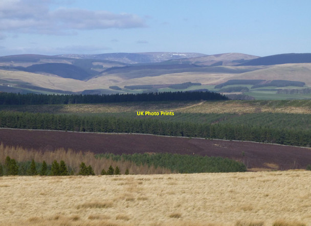 Photo 6"x4" View north from Daw's Hill Holystone c2016