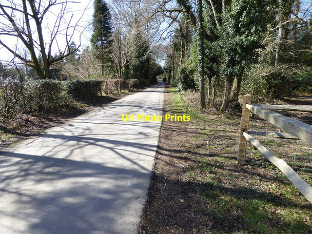 Photo 6"x4" Looking westwards along access road east of the A23 Tilgate Forest Row c2016