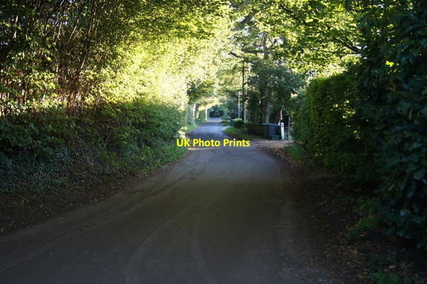 Photo 6"x4" View towards the end of Pardown Pardown c2015