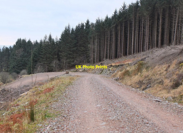 Photo 6"x4" Bend in forest track, Glen Bernera Galltair c2016