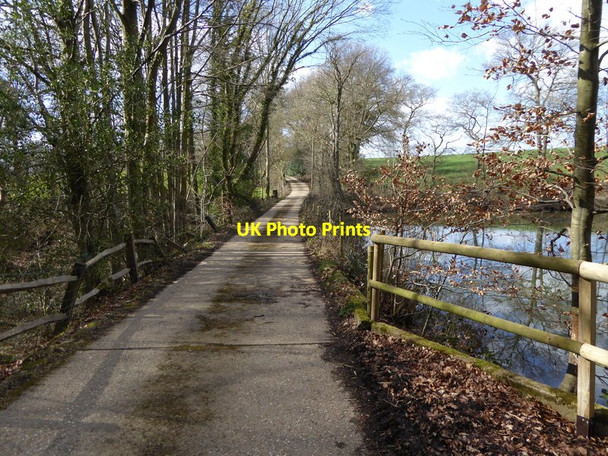Photo 6"x4" Cartersledge Lane crosses Carterslodge Pond Ashfold Crossways c2016