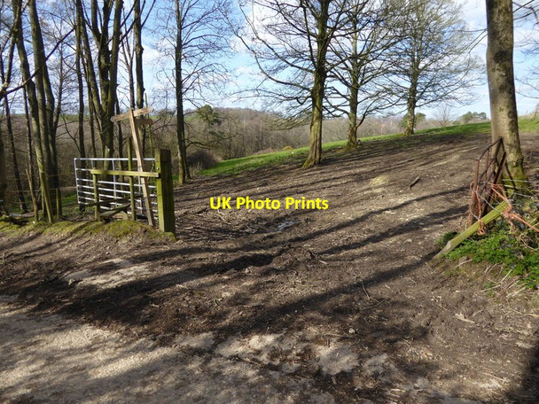 Photo 6"x4" Footpath junction on Cartersledge Lane Ashfold Crossways c2016