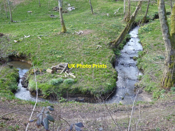 Photo 6"x4" Bendy stream with daffodils Ashfold Crossways c2016