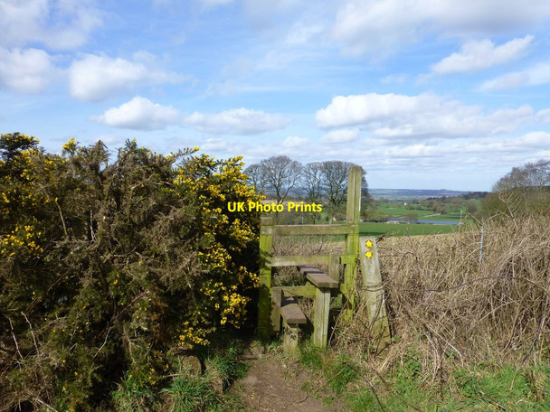 Photo 6"x4" Stile for path down to Sarra Lane Burwardsley c2016