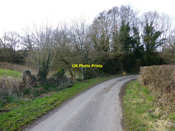 Photo 6"x4" Sarra Lane at Burwardsley Burwardsley c2016