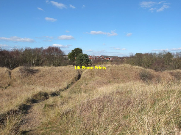Photo 6"x4" Path through dunes at Big Ball's Hill Woodvale c2016