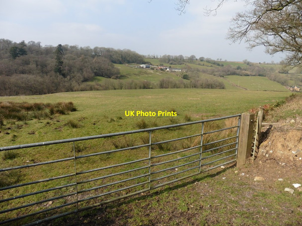 Photo 6"x4" View towards Abbey Wood Abbey\/ST1410 c2016