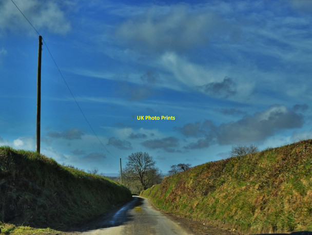 Photo 6"x4" Lane Near Hook Manor Ambleston c2016