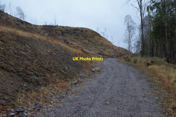 Photo 6"x4" Logging track near Struy Erchless Castle c2016