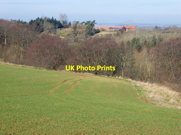 Photo 6"x4" Valley of the Brock Burn Spott\/NT6775 c2016