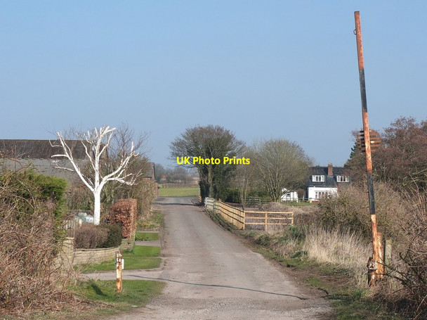 Photo 6"x4" Carr Lane towards Gore House Farm Maghull c2016