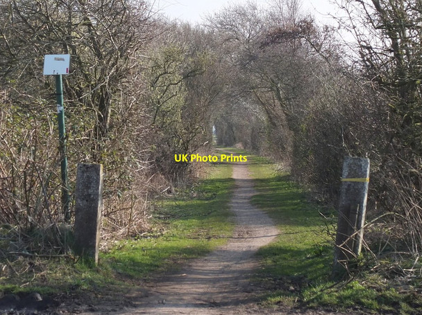 Photo 6"x4" Trans Pennine Trail near Crisp's Farm Maghull c2016