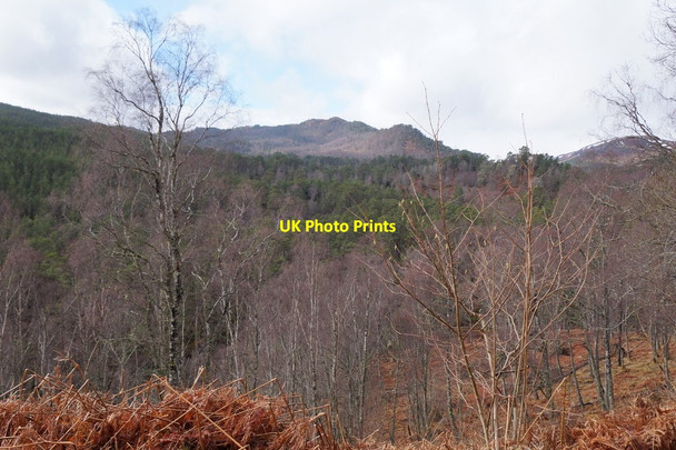 Photo 6"x4" Glen Affric below Dog Falls Tomich\/NH3027 c2016