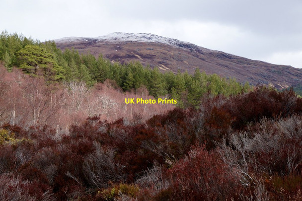 Photo 6"x4" Beinn a' Mheadhoin from the River Affric car park Am Meallan\/NH1924 c2016