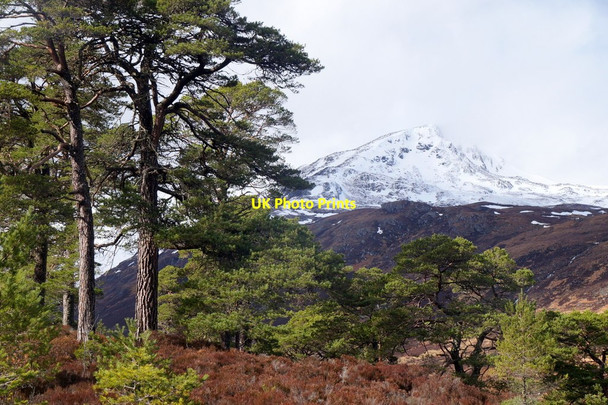 Photo 6"x4" Sgurr na Lapaich from the east end of Loch Affric Am Meallan\/NH1924 c2016