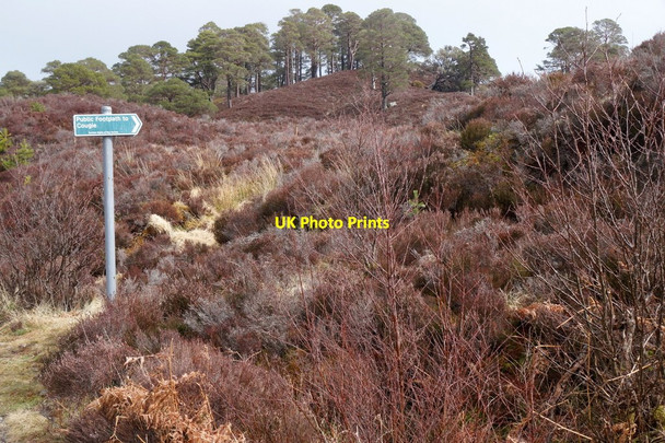 Photo 6"x4" Footpath sign in Glen Affric Loch Pollain Buidhe c2016