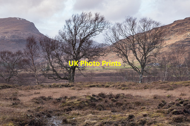 Photo 6"x4" Ground beside the River Carron Coulags c2016