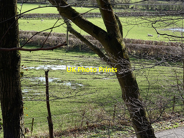 Photo 6"x4" Pasture in Cwm Rheidol Nantyronen Station c2016