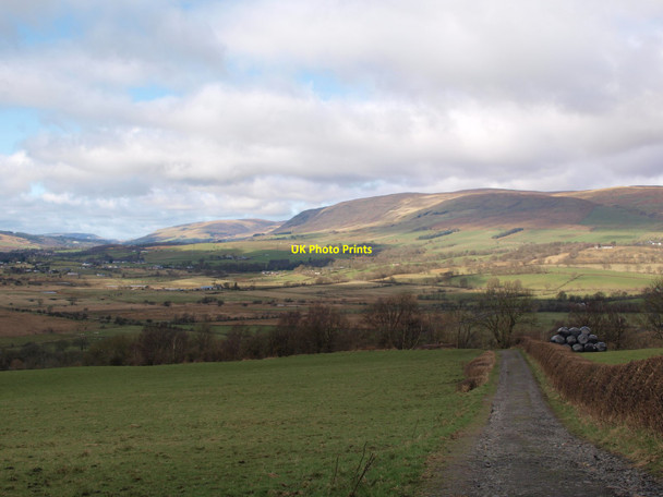 Photo 6"x4" Track to Bar Hill Roman fort Blackwood\/NS7274 c2016