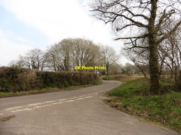 Photo 6"x4" Turning for Riggles Cross Mackham c2016