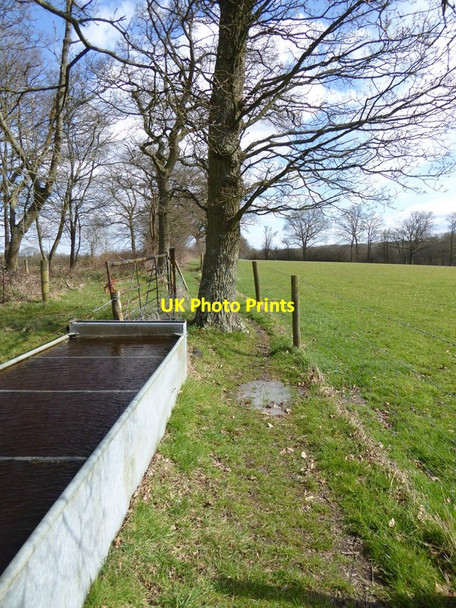 Photo 6"x4" Water trough by footpath Lambs Green c2016