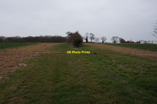 Photo 6"x4" Path to Old Ellerby near Roe Hill Thirtleby c2016