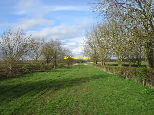 Photo 6"x4" Marston Lane Allington\/SK8540 c2016