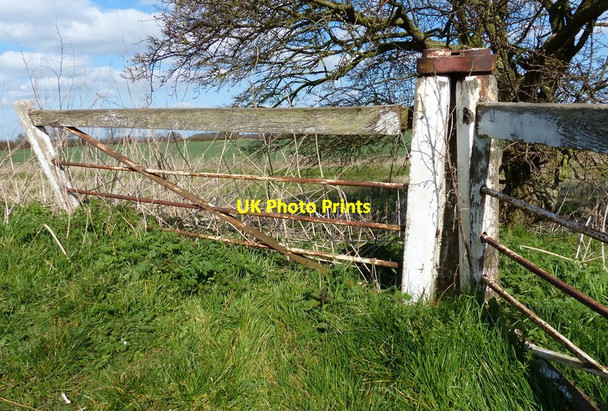 Photo 6"x4" Old gate on the Trent river bank Fiskerton\/SK7351 c2016