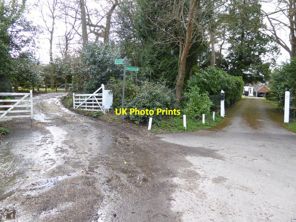 Photo 6"x4" Corner of Rusper Road Bewbush c2016