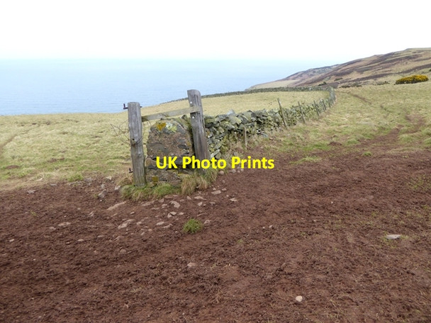Photo 6"x4" Berwickshire Coast Path Old Cambus c2016