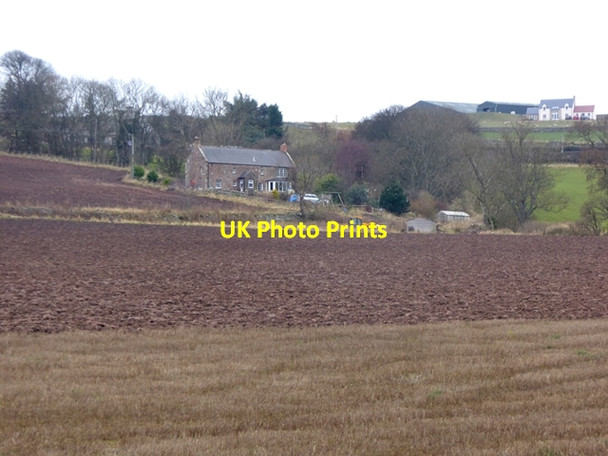 Photo 6"x4" Old Cambus Old Cambus c2016