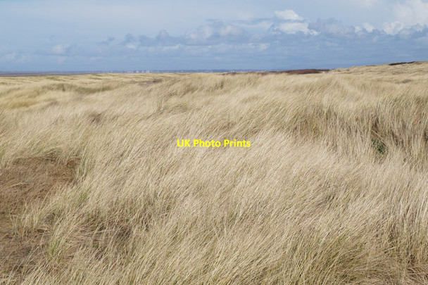 Photo 6"x4" Stabilised dunes at Ainsdale Ainsdale c2016