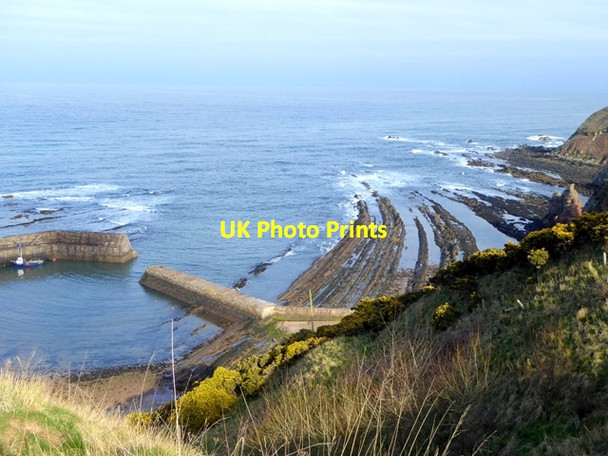 Photo 6"x4" Rocky ribs jutting out to sea at Cove Harbour Cove\/NT7771 c2016