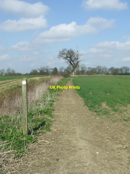 Photo 6"x4" Footpath And Guide Post Hinxton c2016