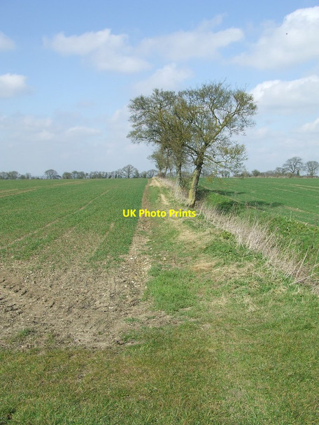 Photo 6"x4" Field Boundary Hinxton c2016
