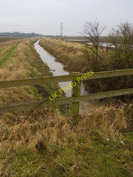 Photo 6"x4" Swine, Benningholme & Arnold Ings Drain Swine c2009