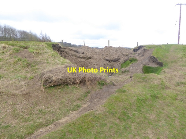 Photo 6"x4" Erosion of flood bank, near Warden Hexham c2016