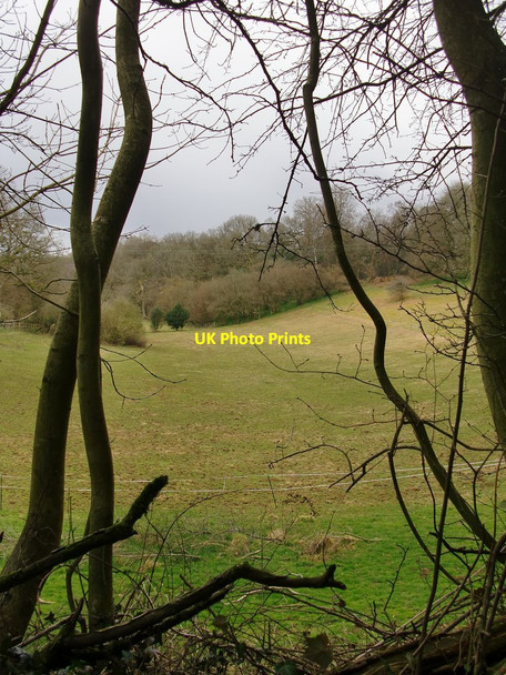 Photo 6"x4" Hoe Valley - seen from Hoe Lane Hoe\/TQ0945 c2016