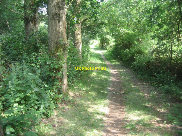 Photo 6"x4" Blackwater Valley Path Frimley c2015