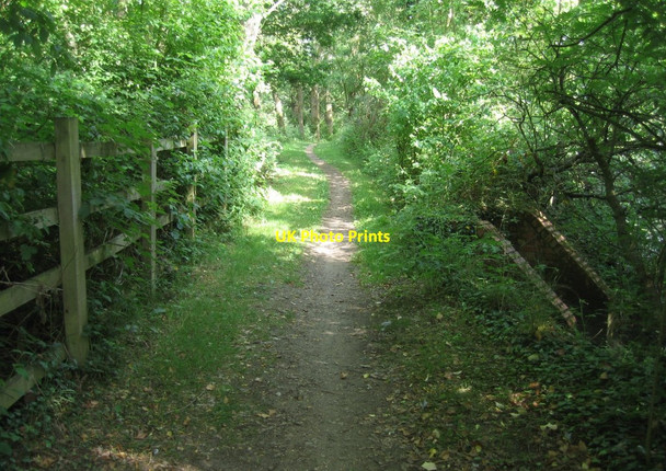 Photo 6"x4" Blackwater Valley Path Frimley c2015 P1