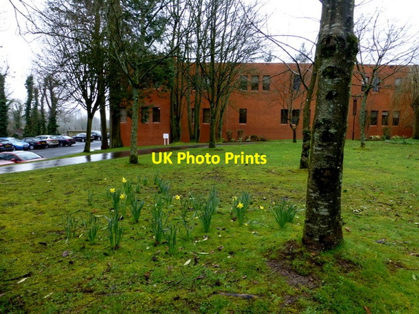 Photo 6"x4" The Grange Park, Omagh Omagh c2016 P1