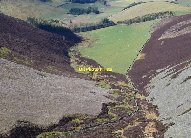 Photo 6"x4" Valley of the Juniper Burn Hundleshope c2016