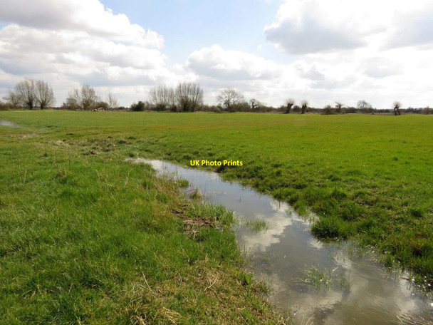 Photo 6"x4" A water meadow near Marcham Marcham c2016