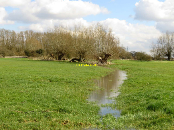 Photo 6"x4" A water meadow near Marcham Marcham c2016 P1