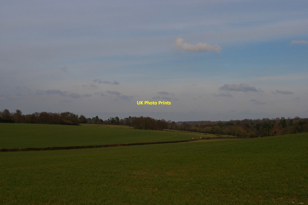 Photo 6"x4" Field south of Shire Lane Orpington c2016