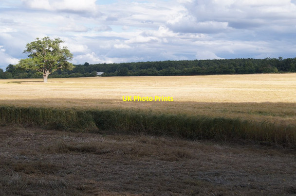 Photo 6"x4" Fields south of Oakley Park Church Oakley c2015 P1