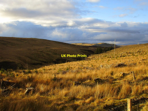 Photo 6"x4" View across the North Rotten Burn Berry Hill\/NS2469 c2016